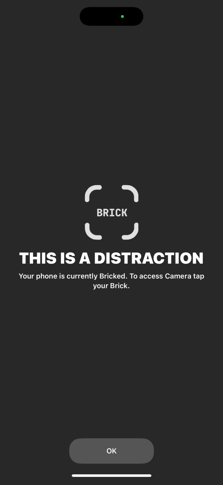 the brick app, get brick app, brick app review